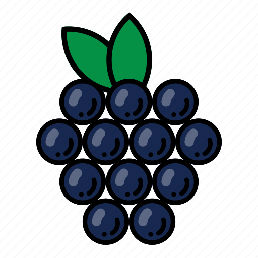 Fruit, fruits, healthy, fresh, blueberries, blueberry icon - Download on Iconfinder