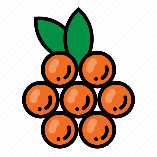 Fruit, fruits, healthy, fresh, berries icon - Download on Iconfinder