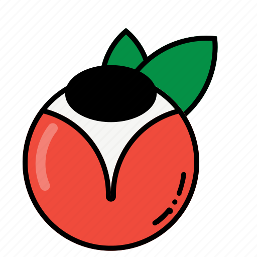Fruit, fruits, healthy, fresh icon - Download on Iconfinder