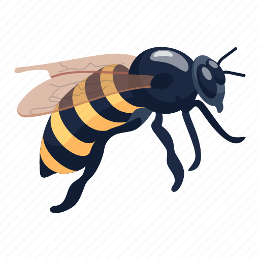 Bumblebee, honeybee, queen bee, bee, apis mellifera icon - Download on Iconfinder