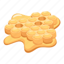 beeswax, honeycomb, honey, beekeeping, bee comb