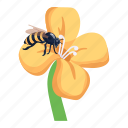 bumblebee, bee, flower bee, bee nectar, honeybee