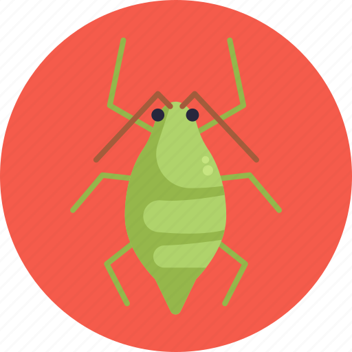 Insects, bugs, aphid, insect, bug icon - Download on Iconfinder