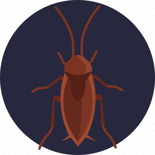 Insects, bugs, cockroach, insect icon - Download on Iconfinder