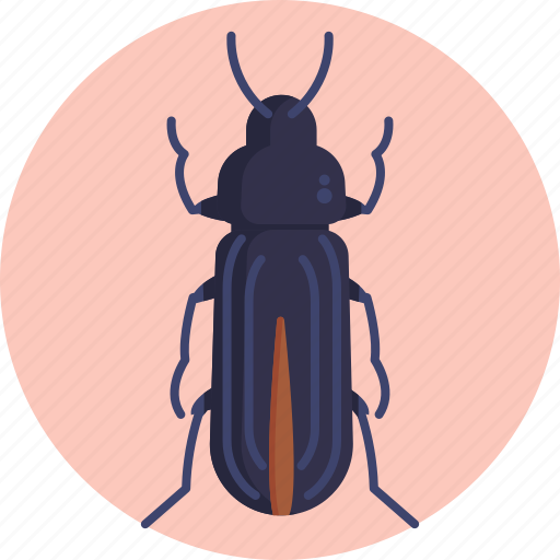 Insects, bugs, darkling, beetle, insect, bug icon - Download on Iconfinder