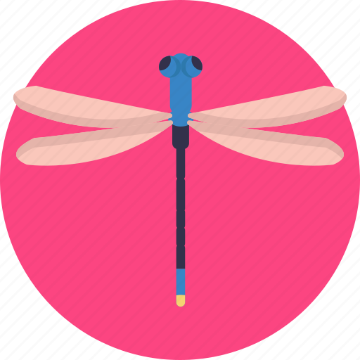 Insects, bugs, damselfly, insect icon - Download on Iconfinder