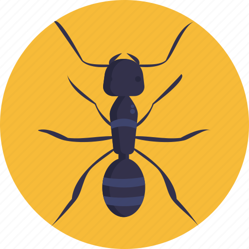 Insects, bugs, ant, insect icon - Download on Iconfinder