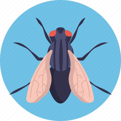 Insects, bugs, fly, insect icon - Download on Iconfinder