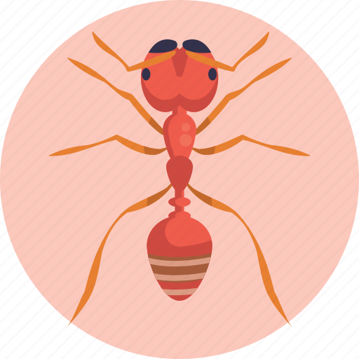 Insects, bugs, fire ant, ant, insect icon - Download on Iconfinder