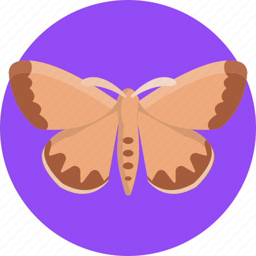 Insects, bugs, insect, gypsy moth, moth icon - Download on Iconfinder