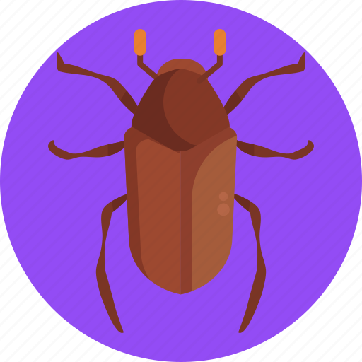 Insects, bugs, jane, bug, insect icon - Download on Iconfinder