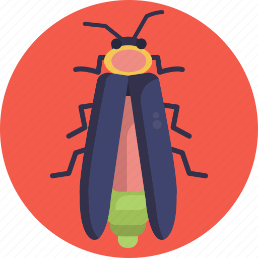 Insects, bugs, lightning bug, insect icon - Download on Iconfinder