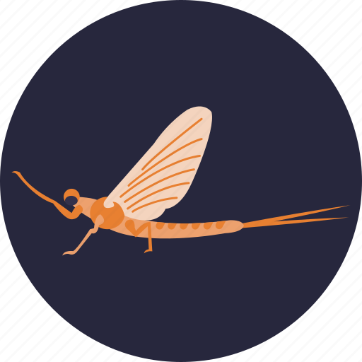 Insects, bugs, mayfly, insect icon - Download on Iconfinder