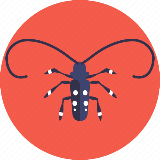Insects, bugs, longhorn, beetle, insect icon - Download on Iconfinder