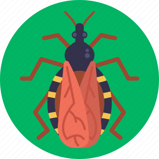 Insects, bugs, assassin, bug, insect icon - Download on Iconfinder