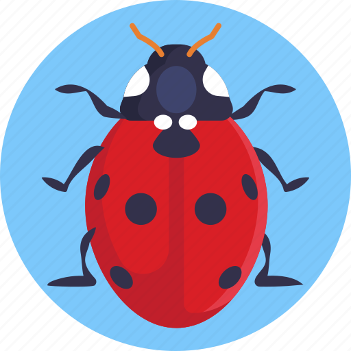 Insects, bugs, ladybug, insect icon - Download on Iconfinder