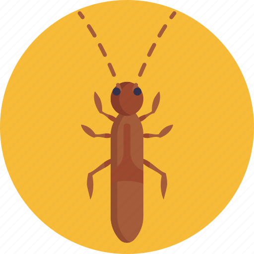 Insects, bugs, springtail, insect icon - Download on Iconfinder