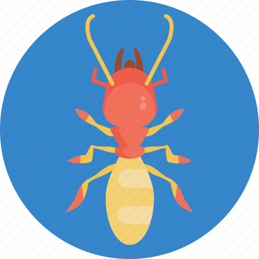 Insects, bugs, termite, insect, bug icon - Download on Iconfinder