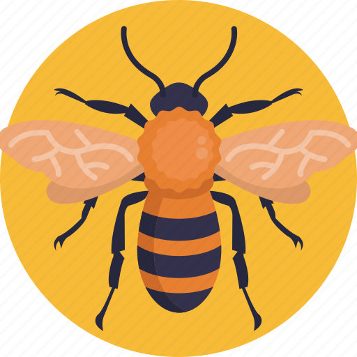 Insects, bee, insect icon - Download on Iconfinder