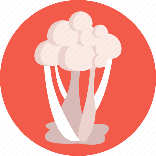 Mushrooms, enoki, mushroom, healthy, food, vegetable icon - Download on Iconfinder