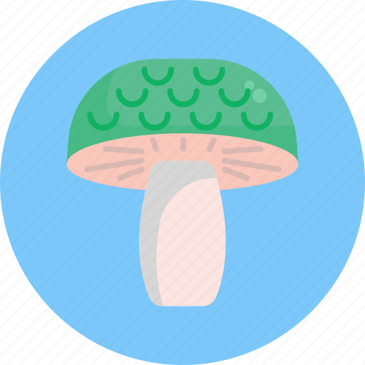 Mushrooms, green cracking russula, mushroom, healthy, food, vegetable icon - Download on Iconfinder