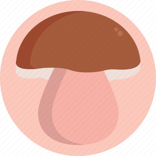 Mushrooms, bolete, mushroom, healthy, food, vegetable icon - Download on Iconfinder