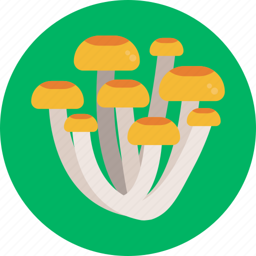 Mushrooms, honey fungus, mushroom, healthy, food, vegetable icon - Download on Iconfinder