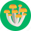 mushrooms, honey fungus, mushroom, healthy, food, vegetable 