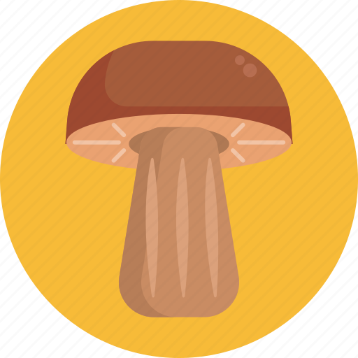 Mushrooms, bay bolete, mushroom, healthy, food, vegetable icon - Download on Iconfinder