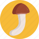 mushrooms, matsutake, mushroom, healthy, food, vegetable