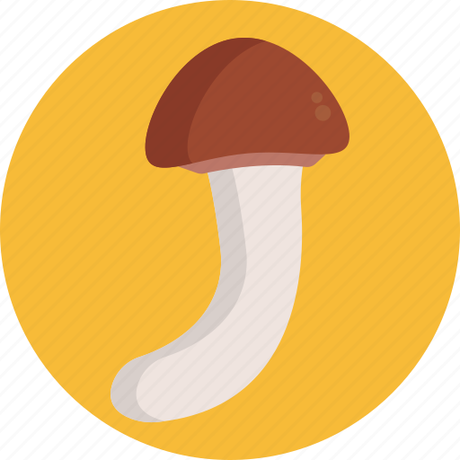 Mushrooms, matsutake, mushroom, healthy, food, vegetable icon - Download on Iconfinder