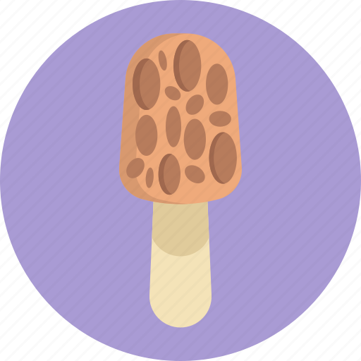 Mushrooms, morel, mushroom, healthy, food, vegetable icon - Download on Iconfinder