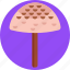 mushrooms, parasol, mushroom, healthy, food, vegetable 