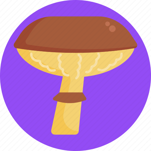 Mushrooms, mushroom, healthy, food, vegetable icon - Download on Iconfinder
