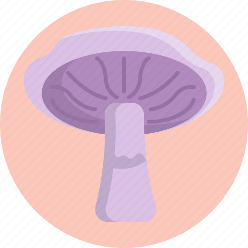 Mushrooms, wood blewit, mushroom, healthy, food, vegetable icon - Download on Iconfinder