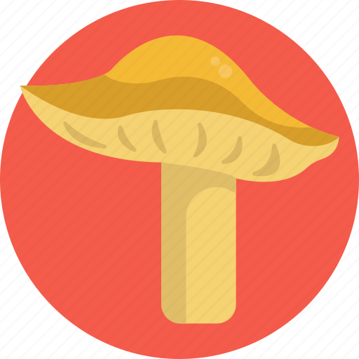 Mushrooms, yellow knight, mushroom, healthy, food, vegetable icon - Download on Iconfinder