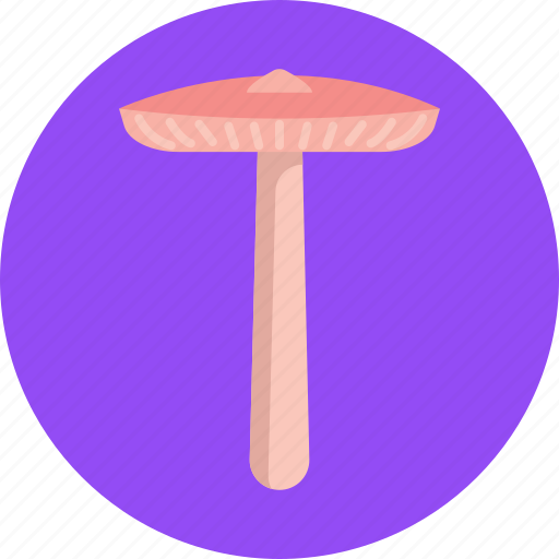 Mushrooms, mycena, mushroom, healthy, food, vegetable icon - Download on Iconfinder