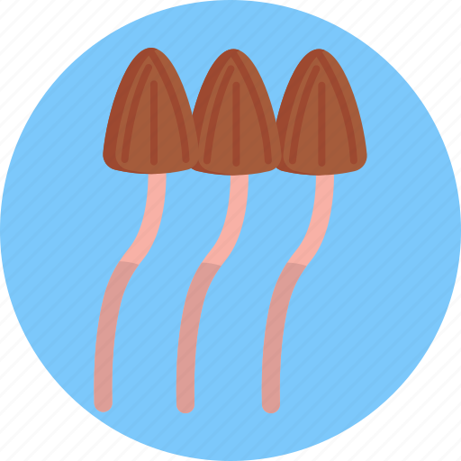 Mushrooms, mushroom, healthy, food, vegetable icon - Download on Iconfinder