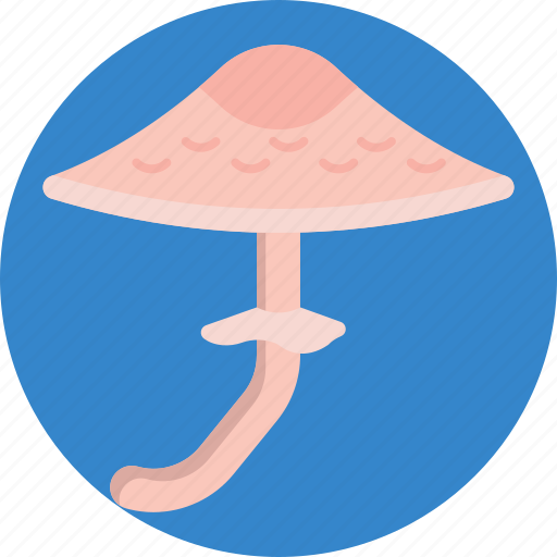 Mushrooms, lepiota, mushroom, healthy, food, vegetable icon - Download on Iconfinder