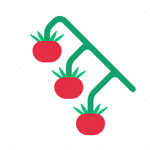 Vegetable, tomatoes, tomato, healthy, food, fruit icon - Download on Iconfinder