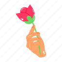 rosebud, rose, red flower, blooming flower, floral