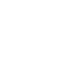 windows icon white