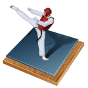 px, taekwondo