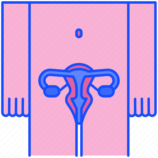 Reproductive, system, uterus, ovary, anatomy, female, organs icon - Download on Iconfinder
