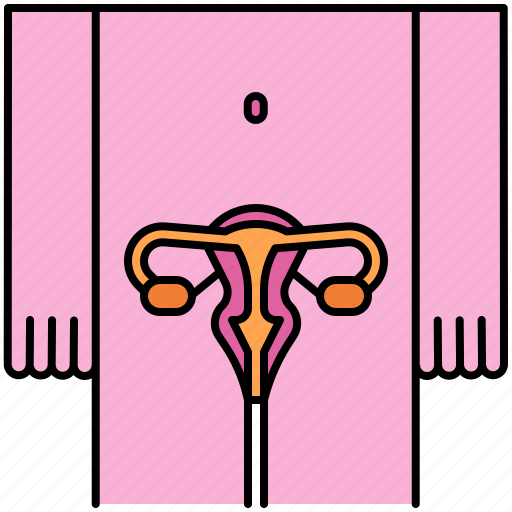Reproductive, system, uterus, ovary, anatomy, female, organs icon - Download on Iconfinder
