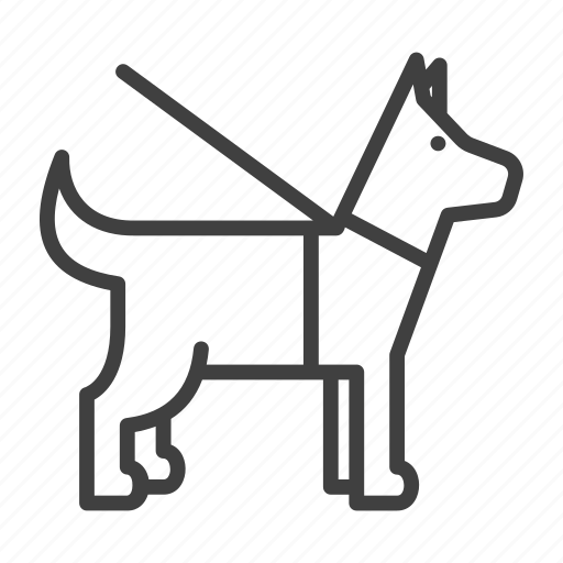Dog, leashed, accessibility, pet, blind, disability, disabled icon - Download on Iconfinder