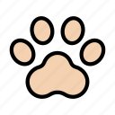 paw, footprint, animal, forest, cat
