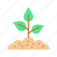 plants, growth, leaf, green 
