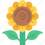 sunflower, flower, botanical, nature, petals 