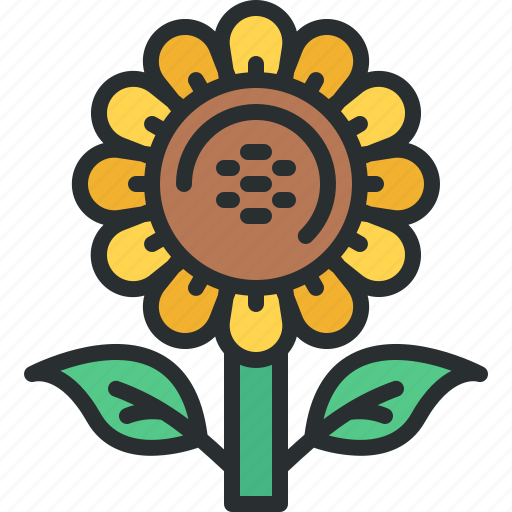 Sunflower, flower, botanical, nature, petals icon - Download on Iconfinder